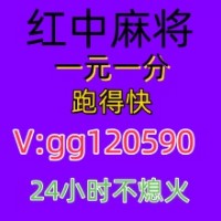哔哩哔哩正规一元一分红中麻将跑得快@2025已更新正版游戏交流